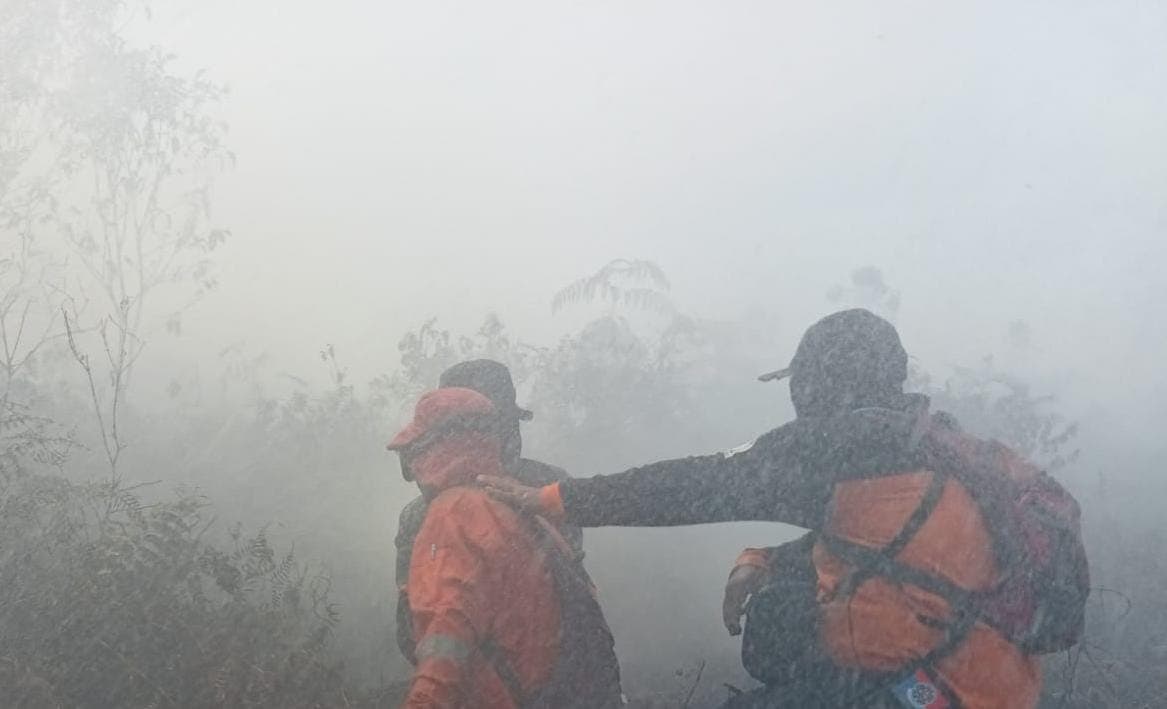 Kebakaran Hutan di Aceh Barat Terbakar 10 Hektar, SD Suak Raya Libur