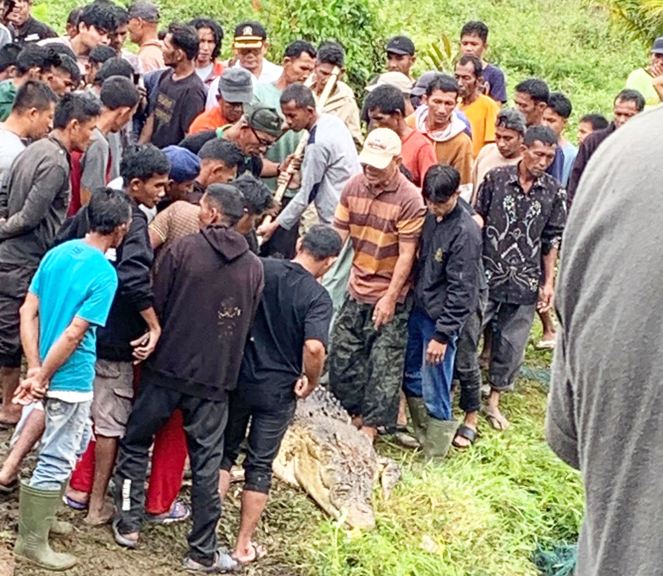 Warga Simeulue Tewas Diterkam Buaya Saat Cari Lokan di Sungai