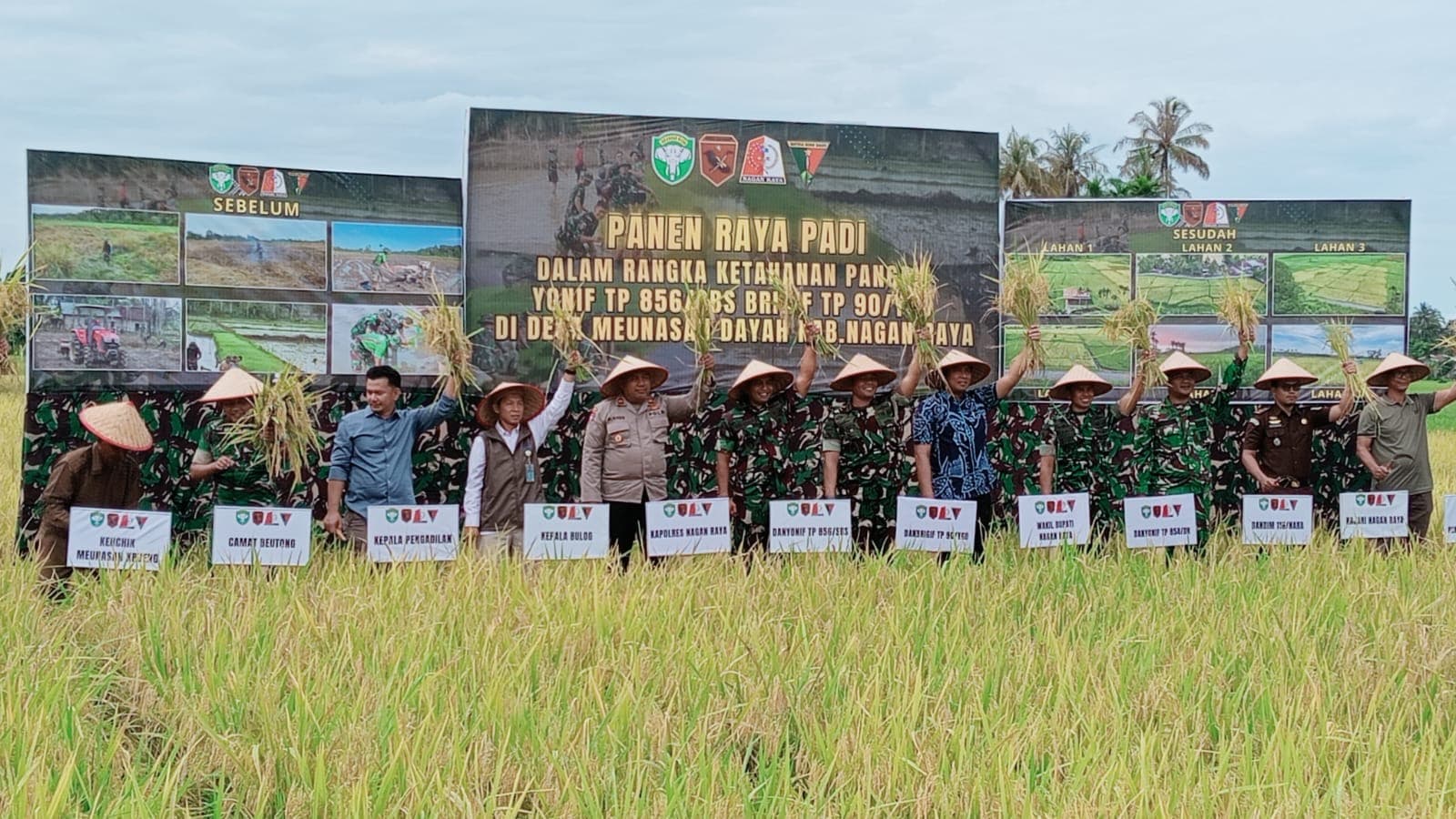 Panen Perdana Padi MR 337 di Nagan Raya Dorong Ketahanan Pangan