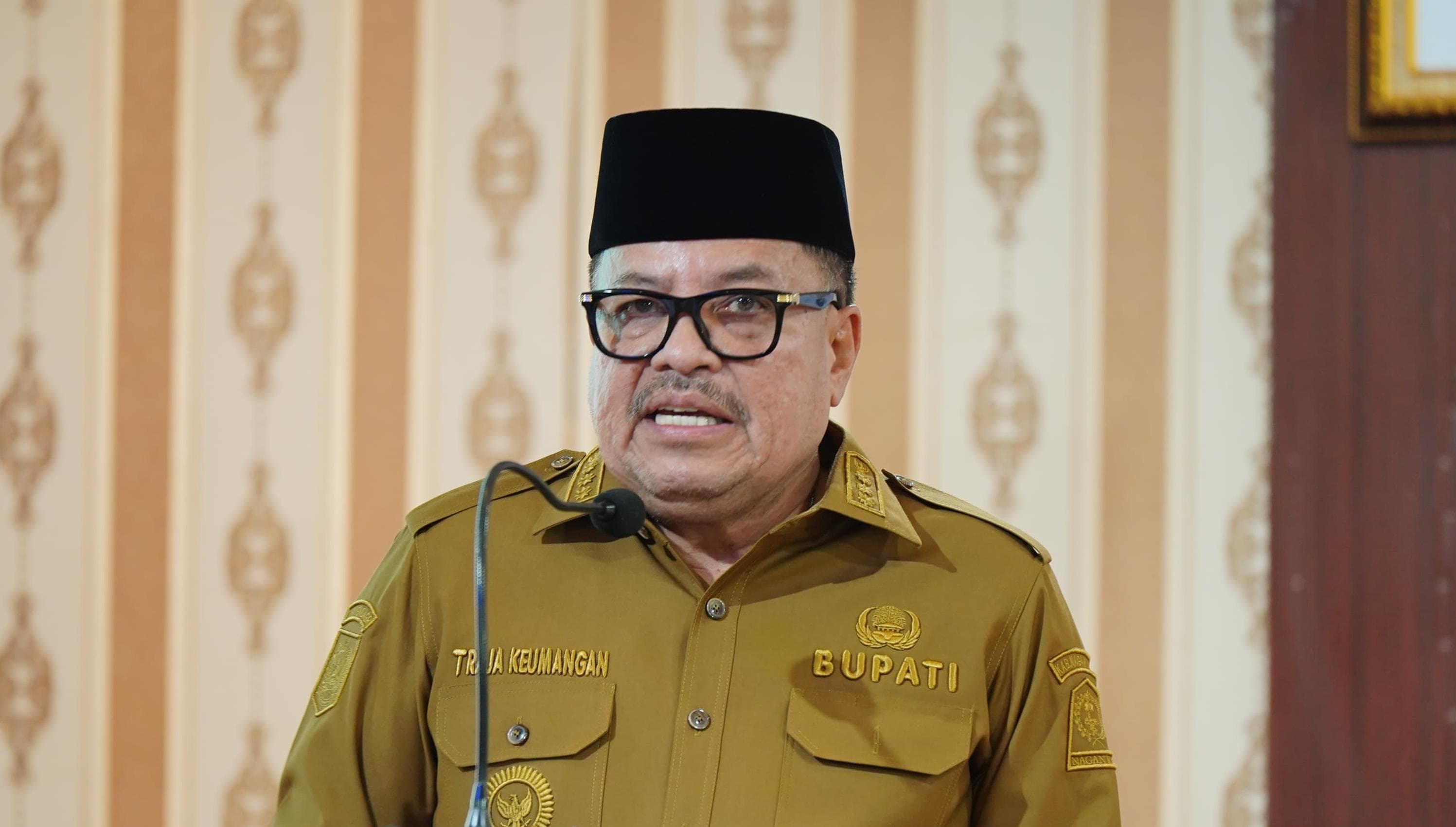 PAD Nagan Raya Melonjak 99,14% di Tahun Pertama Kepemimpinan TRK