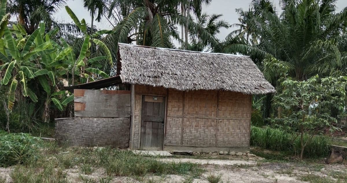 Rumah Bambu Nurhayati vs 41 Rumah Otsus Langsa: Siapa Layak?