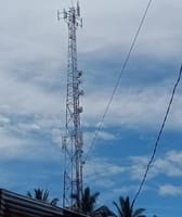 Warga Subulussalam Panik, Menara BTS Dibakar untuk Usir Lebah