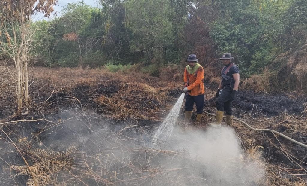Kebakaran Gambut Aceh Barat Capai 228 Hektare, Dampaknya Berjangka Panjang