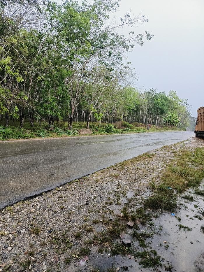 Hujan Lebat Aceh Timur: Warga Diminta Waspada Pohon Tumbang dan Jalan Licin