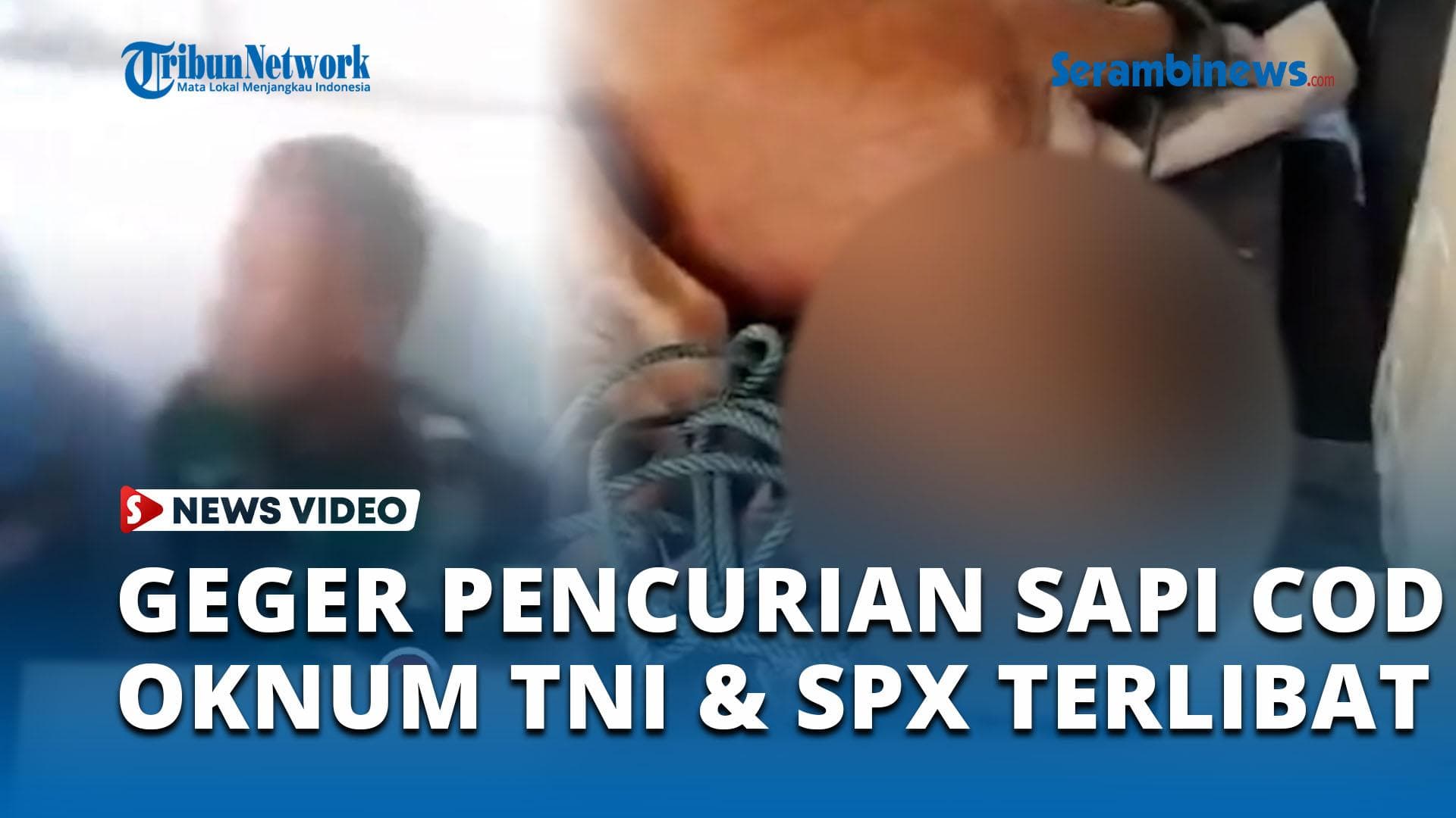 Kepala Gudang SPX Blangkejeren Diduga Terlibat Pencurian Sapi