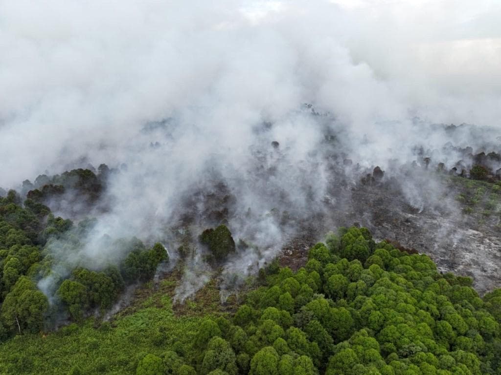 BPBD Aceh Besar Waspadai Potensi Kebakaran Jelang Musim Kemarau