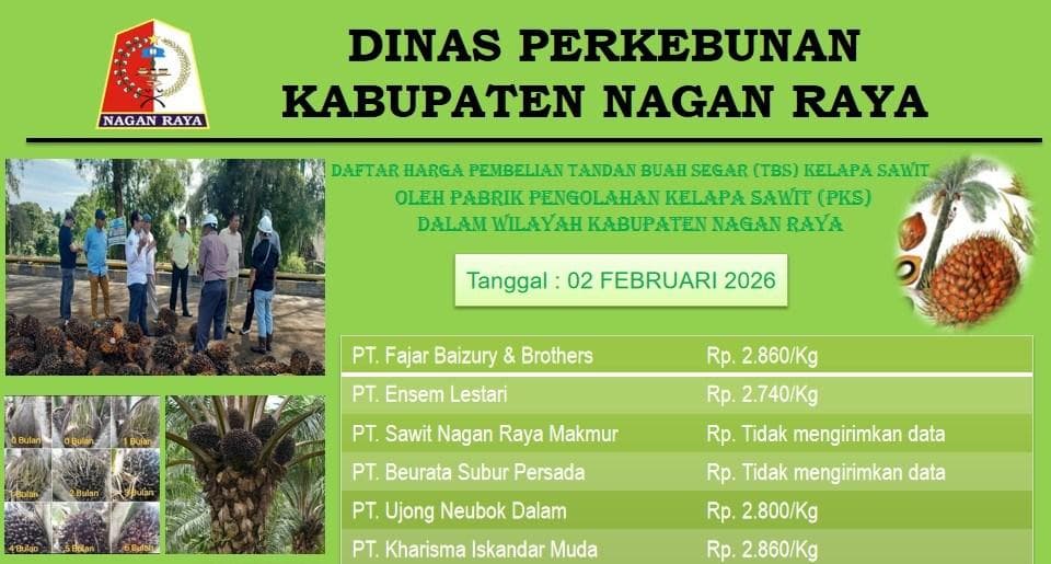 Harga TBS Sawit di Nagan Raya Naik Setelah Intervensi Bupati