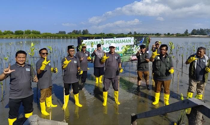 BBPOM Aceh Tanam 2.000 Mangrove di Baitussalam Cegah Bencana