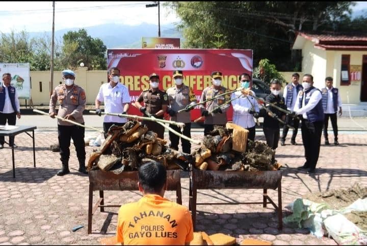 Polres Gayo Lues Ungkap 186 Kg Ganja, Satu Tersangka Diamankan