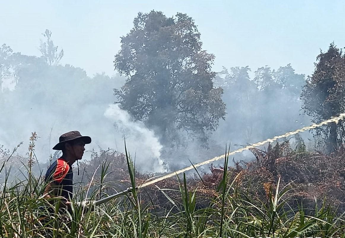 Kebakaran Lahan di Samatiga: Dua Gampong Terbakar, BPBD dan Warga Bersatu Padamkan Api