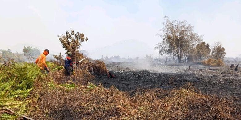 Karhutla Aceh Barat Meluas 19 Hektare, SD Suak Raya Libur Sementara