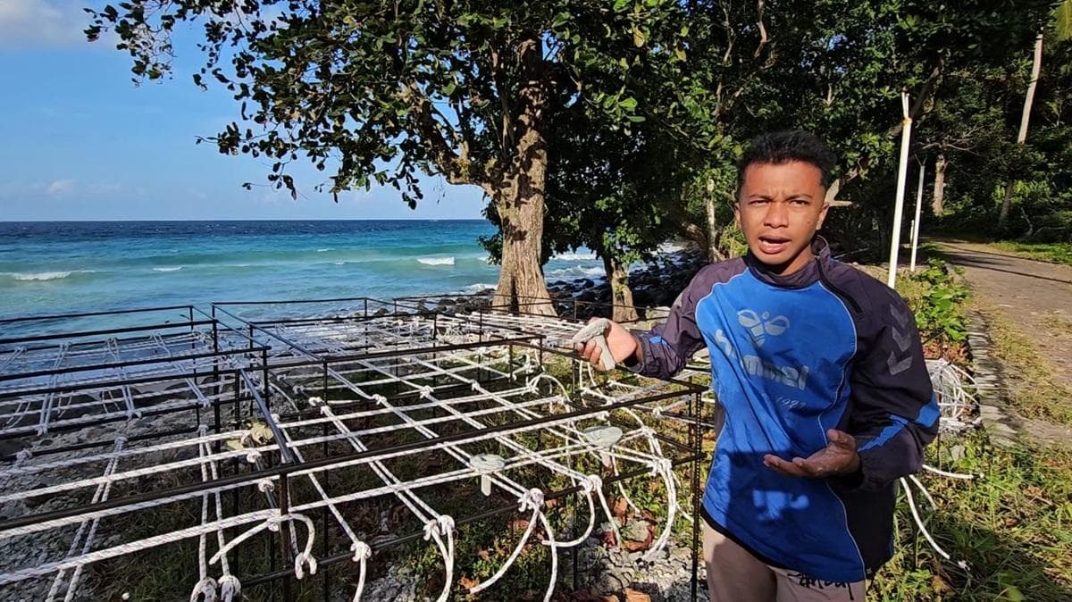 678 Fragmen Terumbu Karang Ditanam di Sabang, Upaya Restorasi Ekosistem Laut