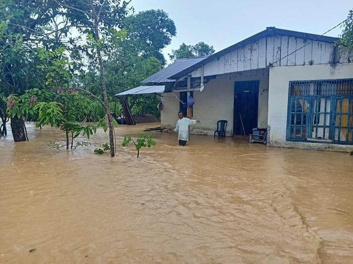 Banjir Luapan Genangi Enam Gampong di Aceh Barat Daya, Lahan Padi dan Ternak Warga Terendam