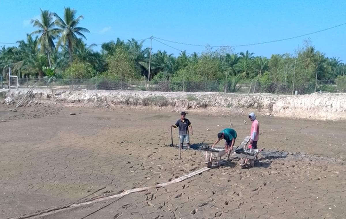 Banjir Bandang Aceh Tamiang Rusak 3.435,5 Hektare Tambak, 1.974 Keluarga Terancam Miskin