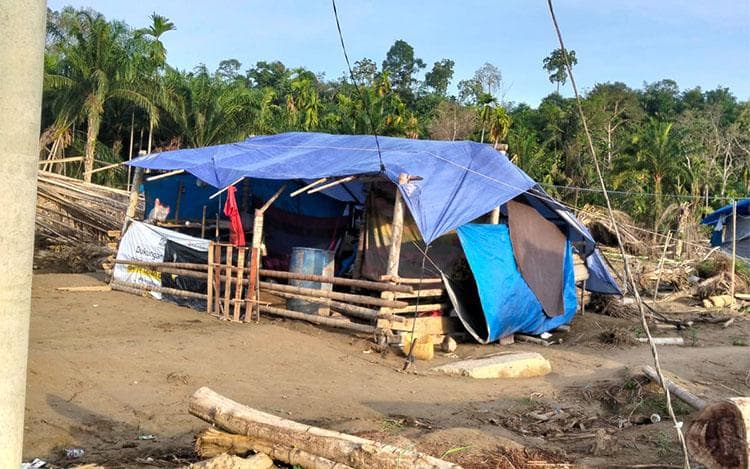 300 KK di Aceh Utara Masih Tinggal di Gubuk Terpal Pasca Banjir
