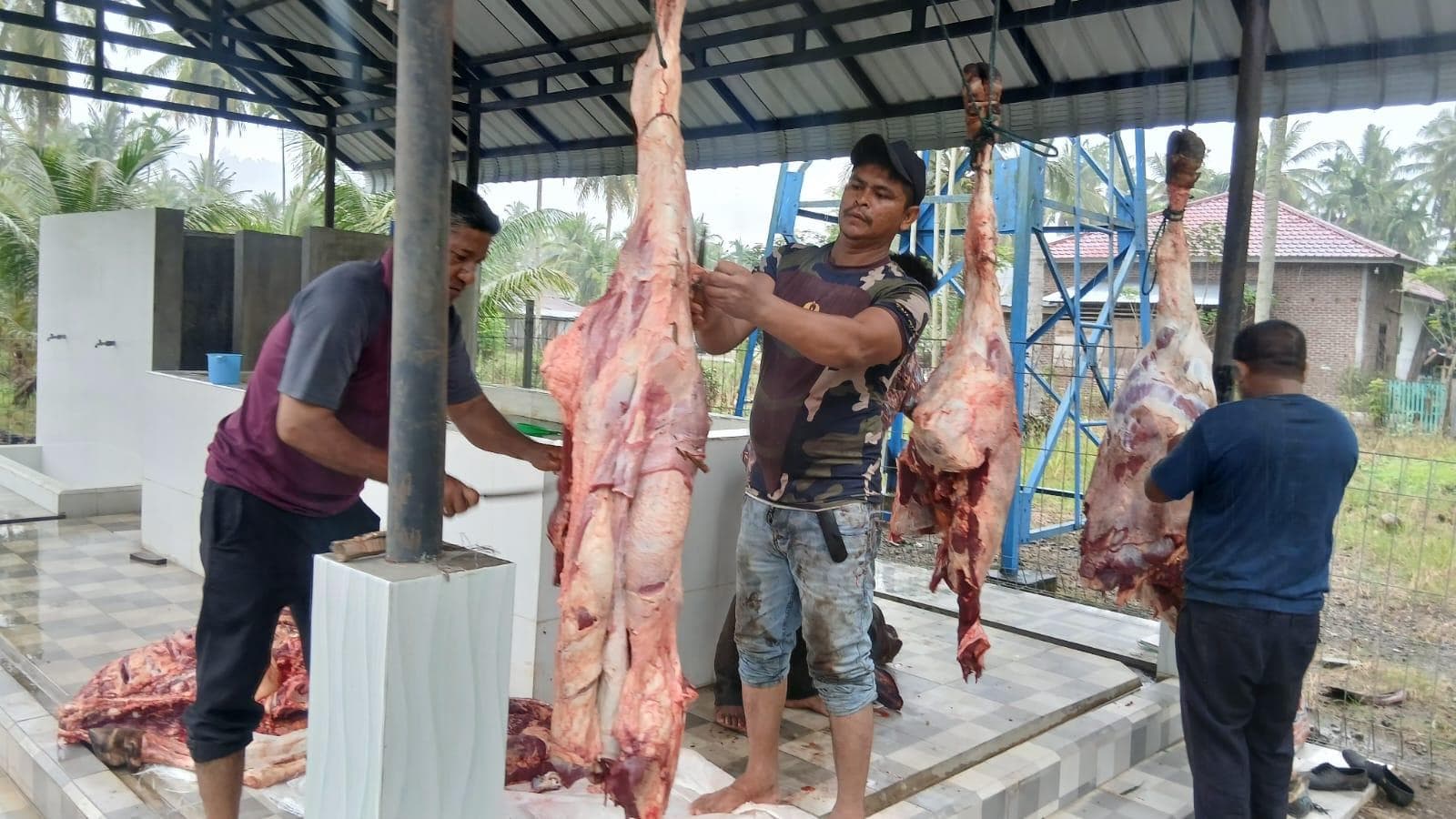 Ratusan KK di Bireuen Terima Daging Meugang Bantuan Presiden