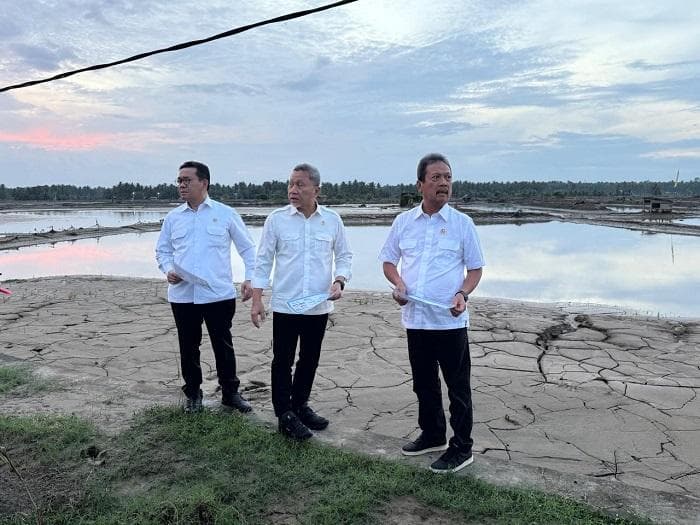 Tiga Menteri Kunjungi Tambak Rusak di Bireuen, Pemerintah Janjikan Bantuan Pemulihan