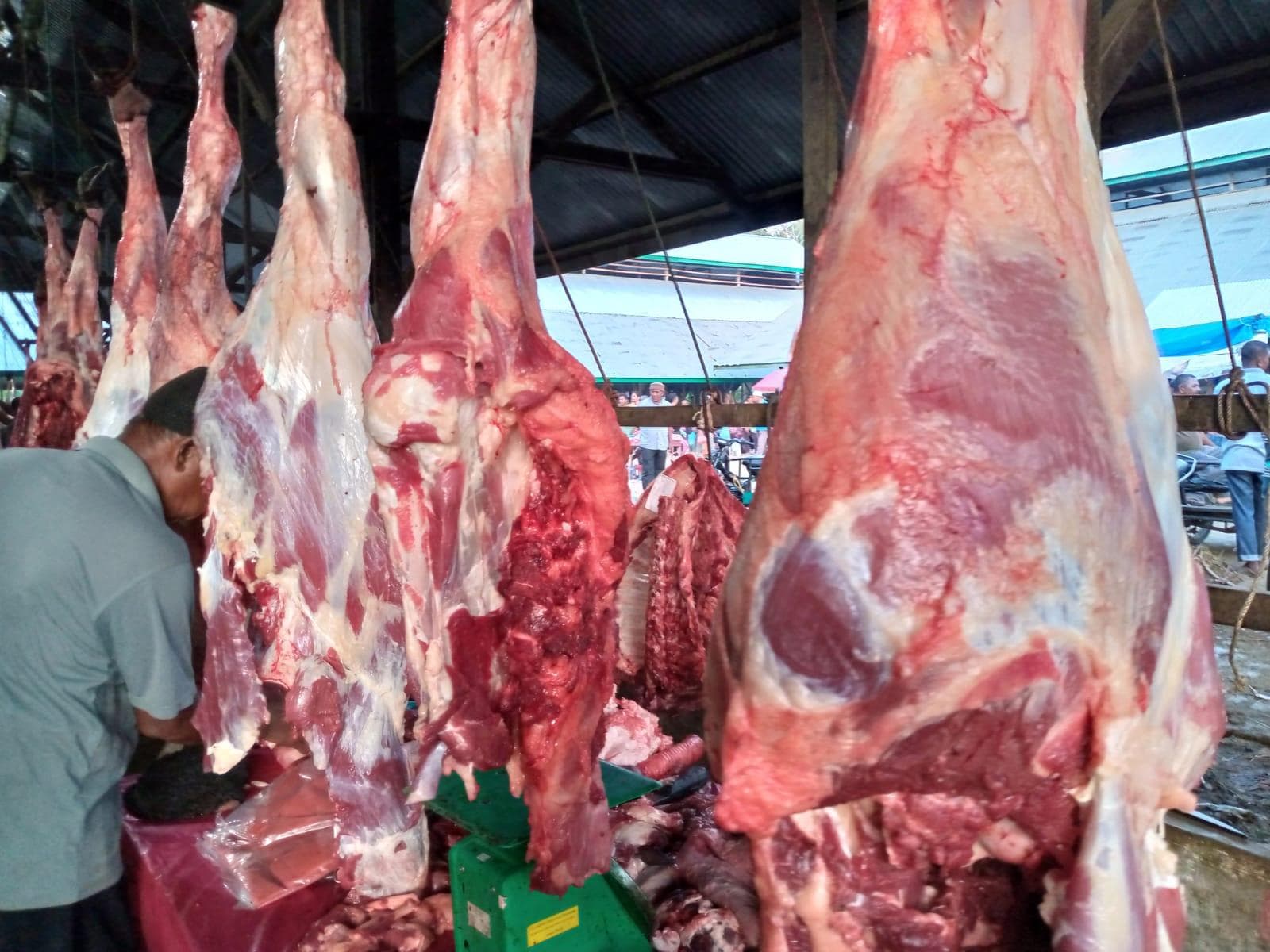 Daging Meugang Korban Banjir Aceh Utara Berasal dari Peternak Lokal