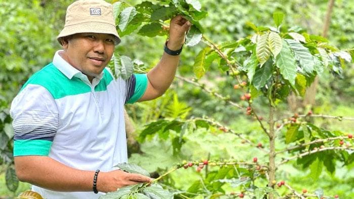 Mualem Lobby Otsus Aceh Diperpanjang, APBA Diprediksi Naik Rp7 Triliun
