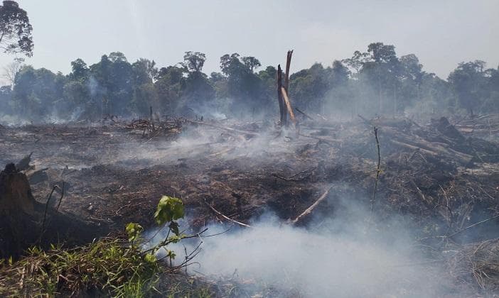 Karhutla Landai Bakongan dan Trumon Timur, 37 Hektar Lahan Terbakar