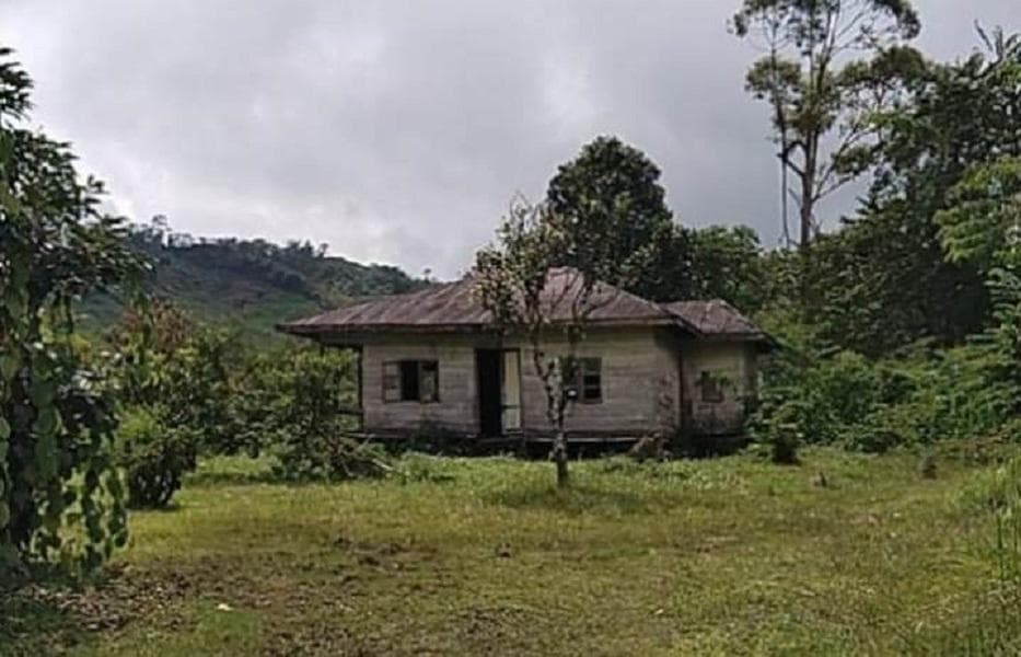 Pegayon: Akar Budaya Gayo Pulang ke Aceh, Berdiri di Buntul Sara Ine