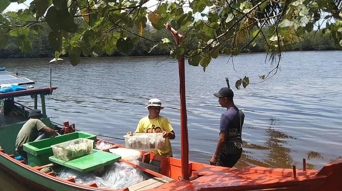 Harga Ikan di Aceh Singkil Naik Rp 5 Ribu Jelang Lebaran, Nelayan Libur dan Cuaca Buruk