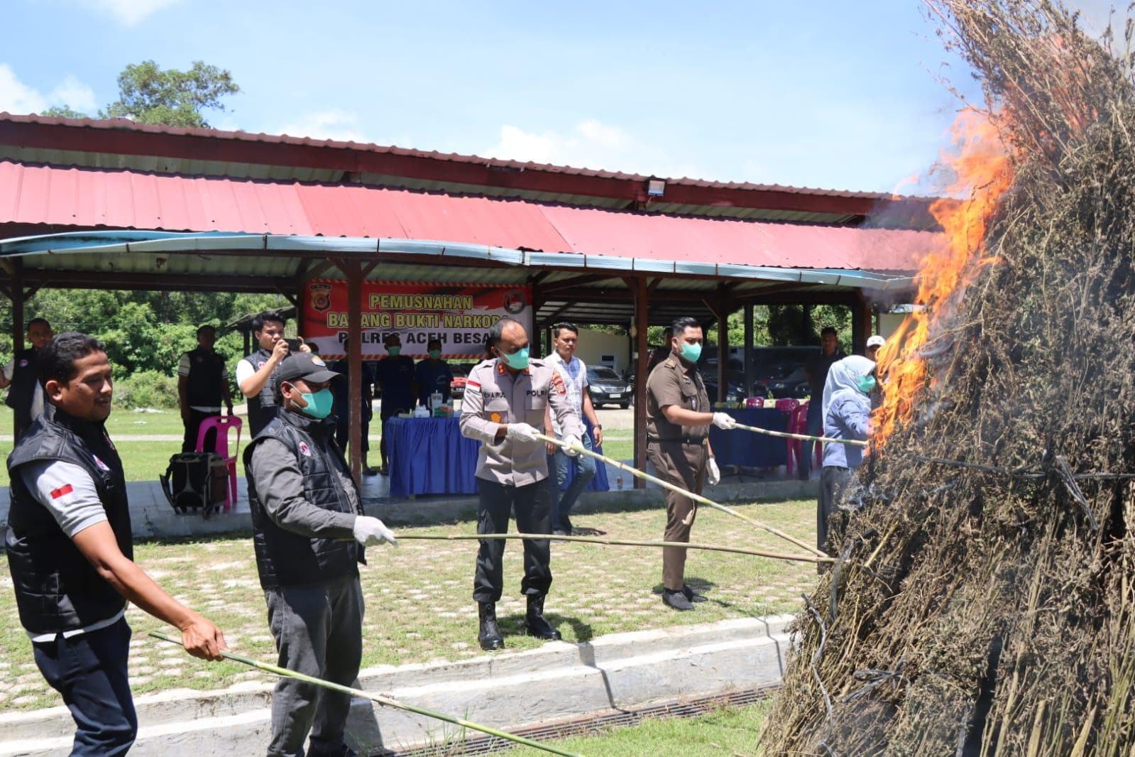 Polres Aceh Besar Musnahkan 1.005 Batang Ganja dan 80,64 Gram Sabu