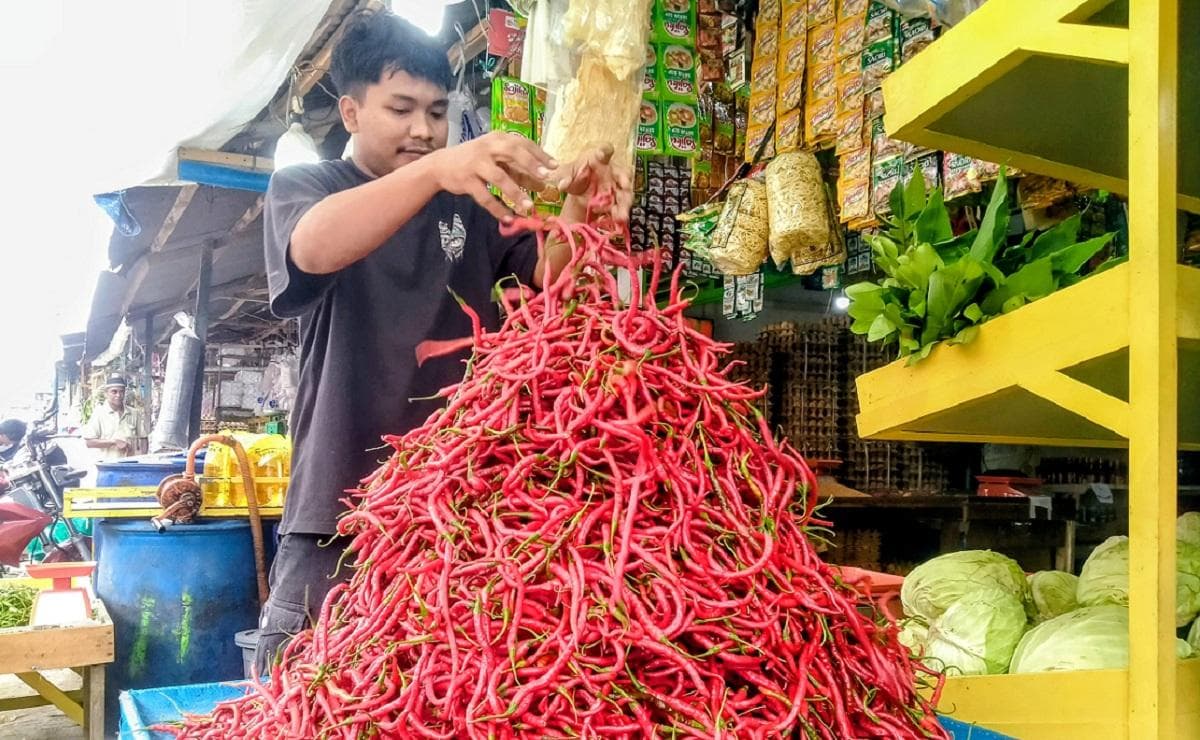 Harga Cabai Rawit di Aceh Barat Daya Tembus Rp 80 Ribu per Kg