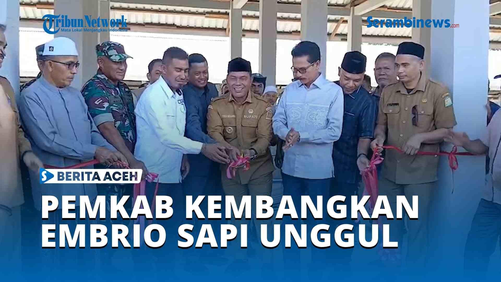 Pemkab Aceh Besar kembangkan embrio sapi unggul untuk tingkatkan produktivitas peternak