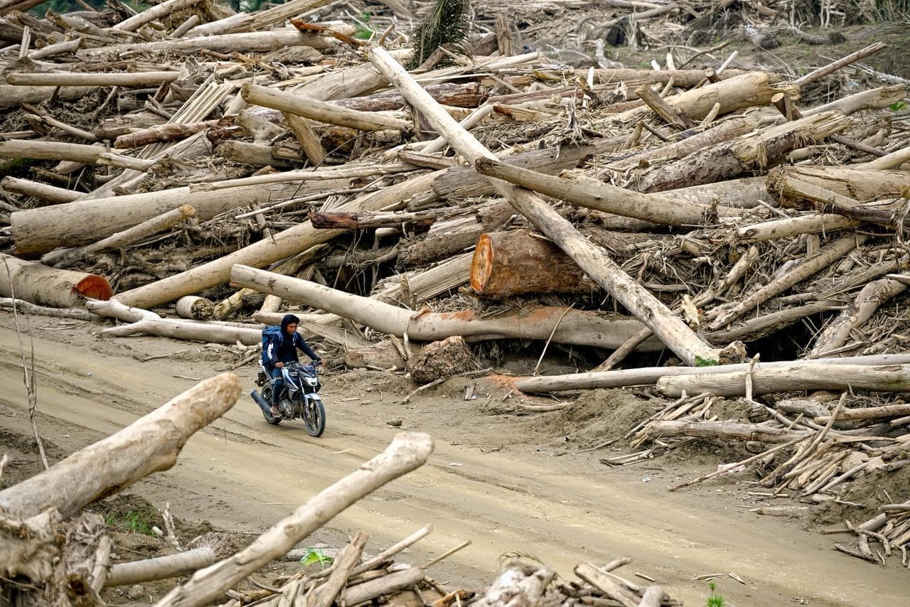 Menhut Izinkan Kayu Banjir Aceh untuk Rehabilitasi Pascabencana