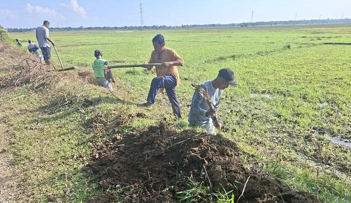 Petani Peudada Aceh Berharap Irigasi Aneuk Gajah Rheut Dilanjutkan