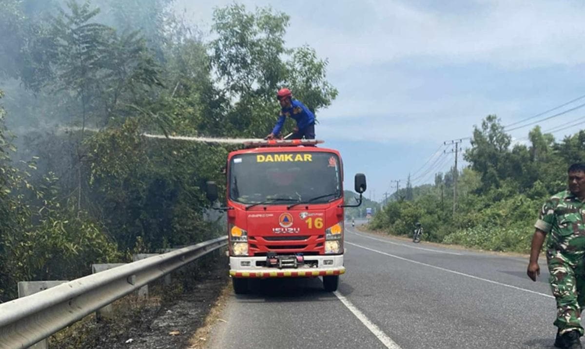 Aceh Besar Waspada Karhutla di Musim Kemarau, BPBD Imbau Waspada