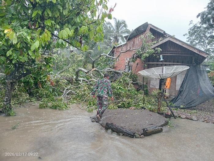 Pohon Tumbang Akibat Cuaca Ekstrem Rusak Rumah Warga di Lembah Seulawah