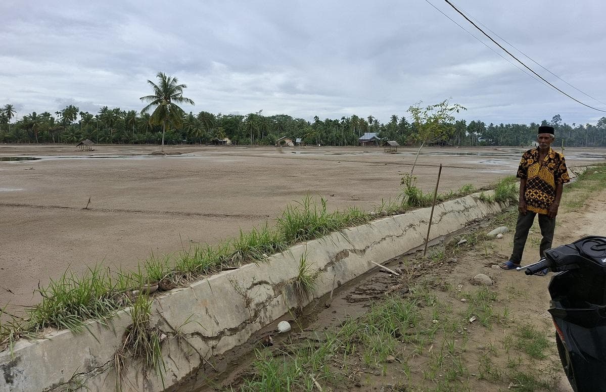 Ribuan Hektare Sawah di Bireuen Tertimbun Lumpur, Irigasi Pante Lhong Rusak Parah