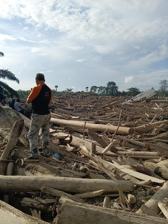 Penyerobotan Hutan di Aceh Tamiang Kritis, Sudah Menjangkau Pesisir
