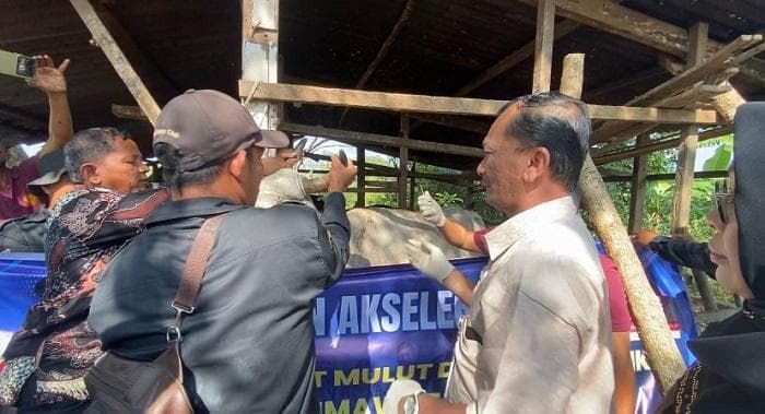 Ternak Lhokseumawe Bebas Penyakit, Aman untuk Meugang Ramadhan