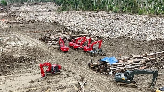 TNI Bersihkan Tumpukan Kayu di Geudumbak Aceh Utara untuk Pulihkan Akses Jalan