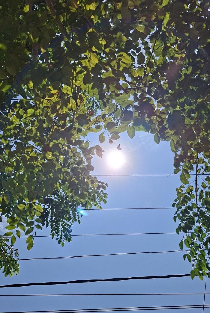 Warga Aceh Timur Diminta Cegah Karhutla Saat El Nino Godzilla