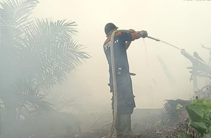 Karhutla di Aceh Barat: 19 Hektare Lahan Terbakar, SD Suak Raya Libur