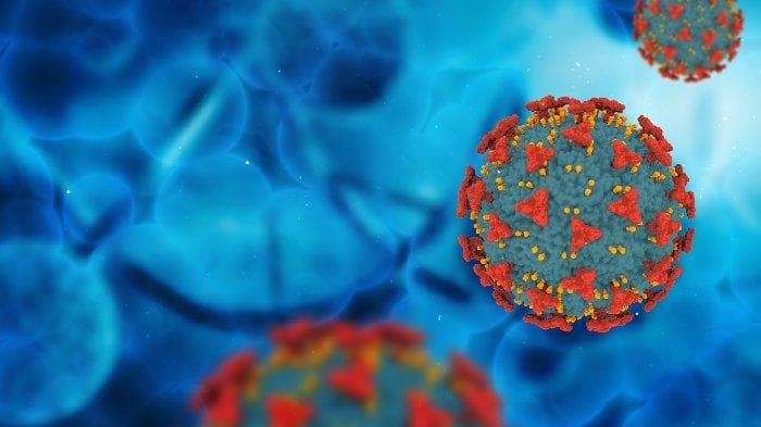 Wabah Virus Nipah India: Aceh Siap Hadapi Ancaman Global Kesehatan