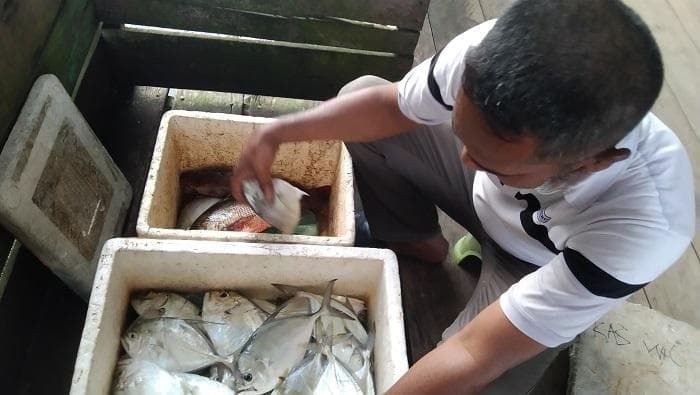 Cuaca Tak Menentu, Harga Ikan di Aceh Singkil Naik Rp 10 Ribu per Kg