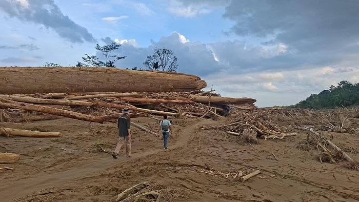Misteri Pemilik Kayu Gelondongan di Aceh Tamiang, Mabes Polri Diminta Turun Tangan
