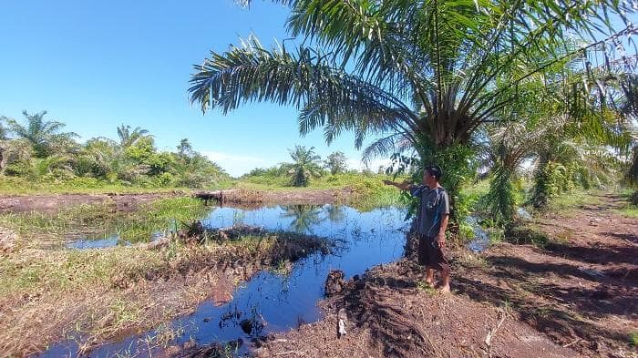 Cegah Luapan Air ke Permukiman, Warga Singkil Utara Minta Perusahaan Sawit Tutup Tanggul Jebol