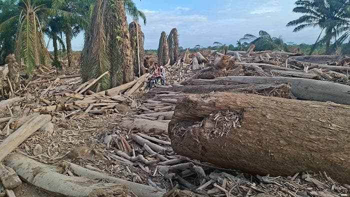 Rumah Rusak Diterjang Banjir, Warga Aceh Tamiang Minta Direlokasi:Nggak Ada Lagi yang Bisa Ditempati
