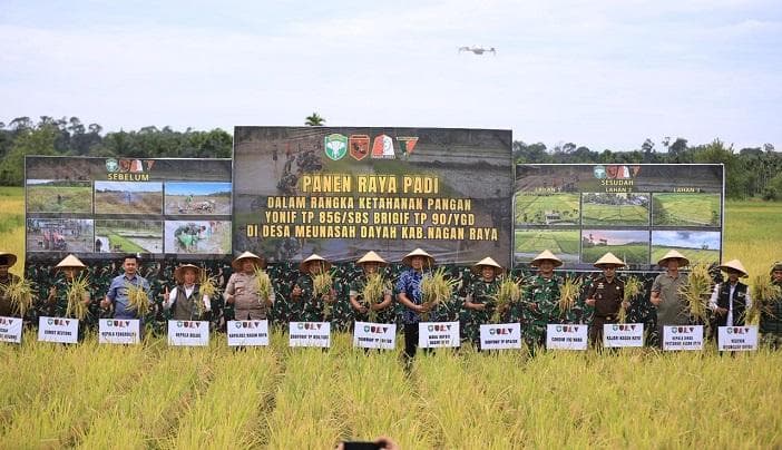 Yonif TP 856 Nagan Raya Panen Padi Raya di Lahan 5 Hektare, Dorong Ketahanan Pangan