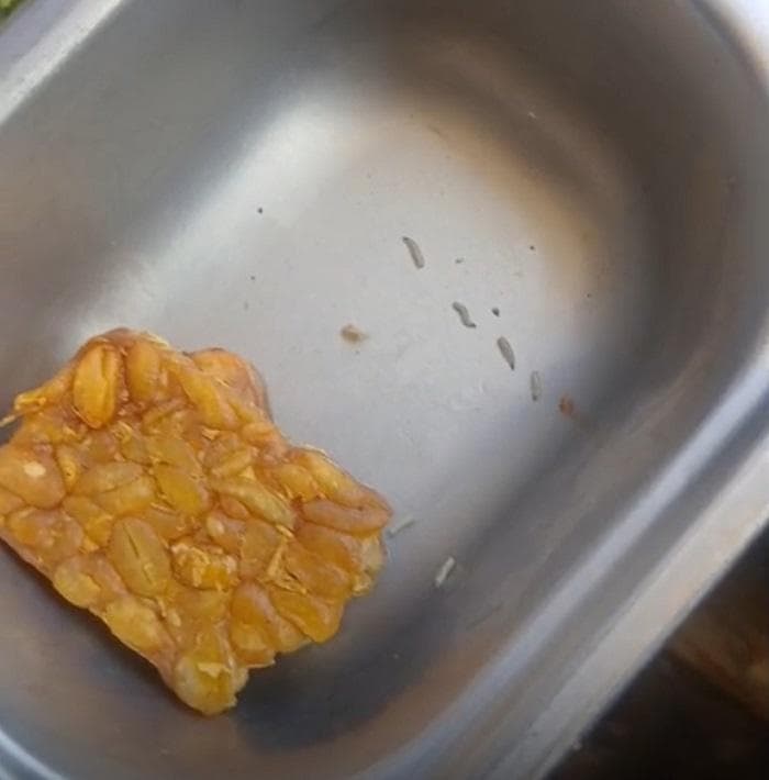 Belatung Ditemukan dalam MBG di SMP N 3 Sawang, Aceh Selatan