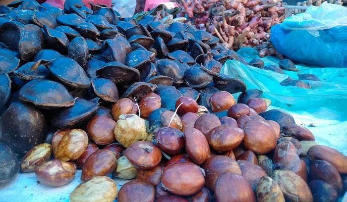 Harga Jengkol di Aceh Barat Daya Anjlok, Petani Terpaksa Jual Murah