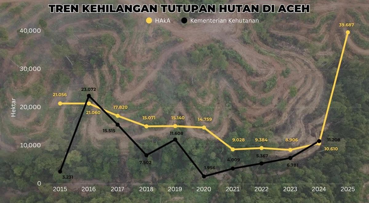 Aceh Kehilangan 39.687 Hektare Hutan pada 2025, Risiko Bencana Meningkat