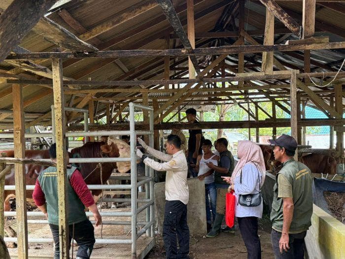 Tim Dinas Aceh Awasi Pemotongan Hewan Meugang di Langsa dan Aceh Tamiang