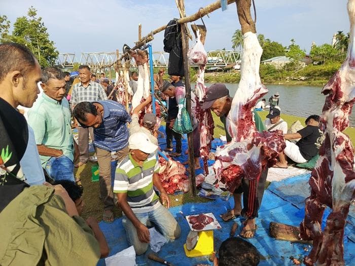 Bupati Nagan Tetapkan Jadwal Pemotongan Daging Meugang, Warga Aceh Siapkan Hewan Kurban